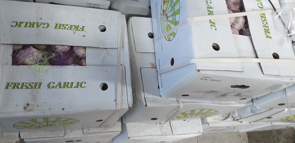 Ajo en malla/10kg