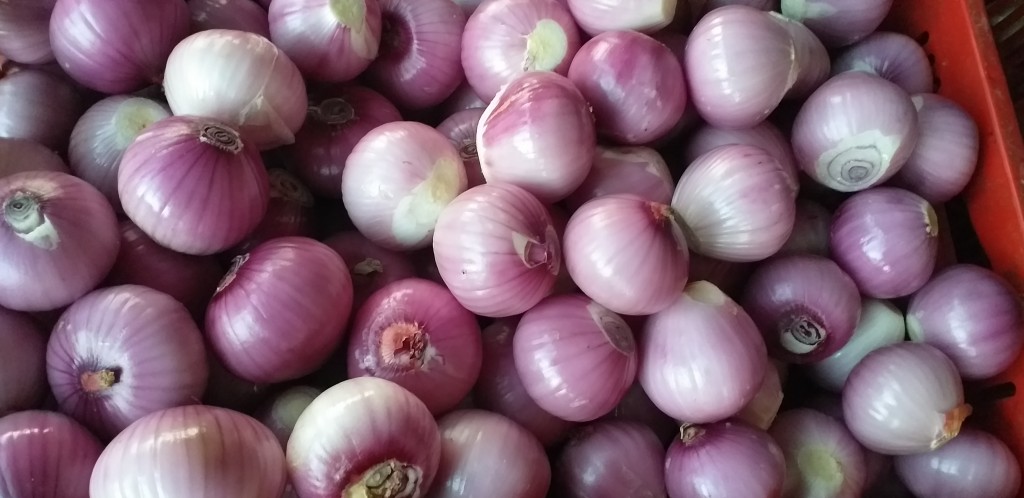 Cebolla roja pelada