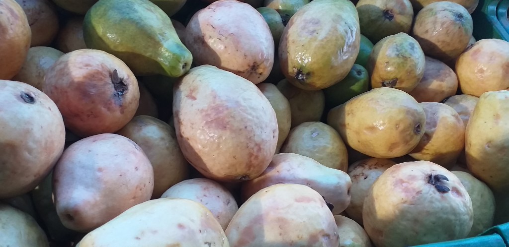 Guayaba pera gruesa