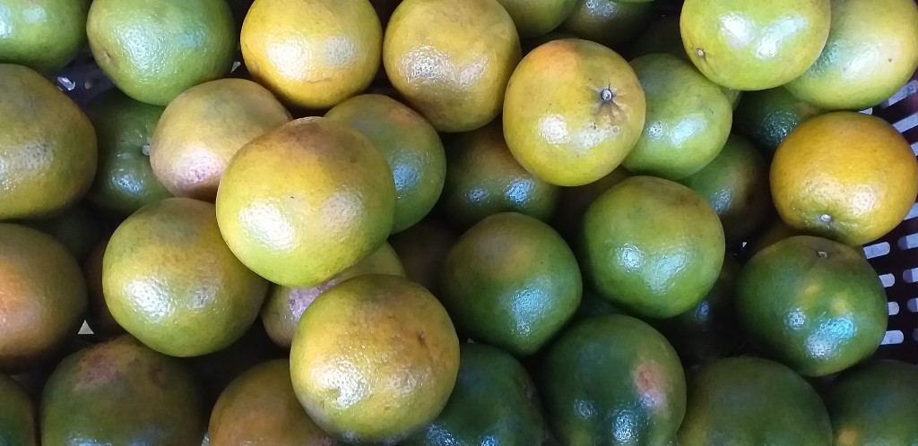 Naranja valencia 2da