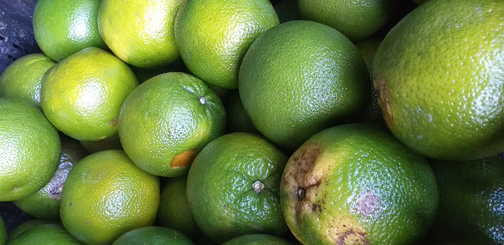 Naranja valencia de 1ra