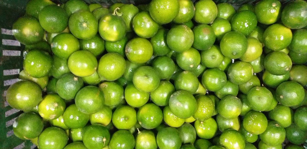 Limon tahiti delgado