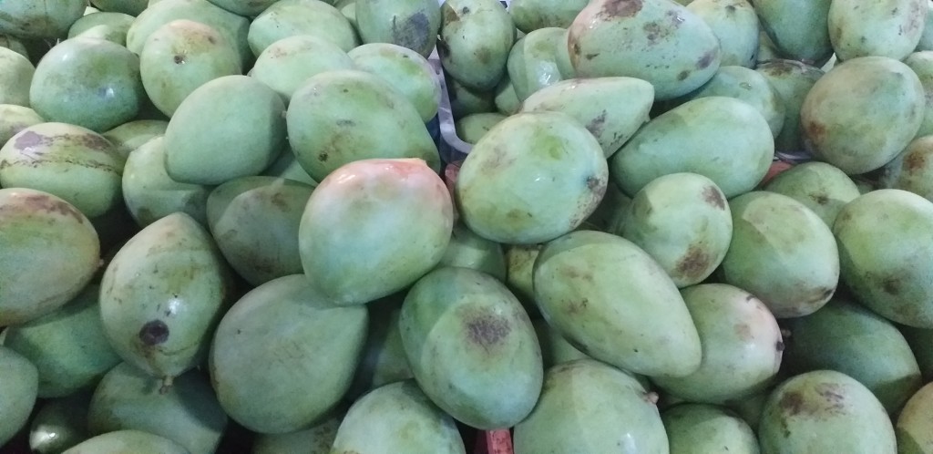 Mango filipino