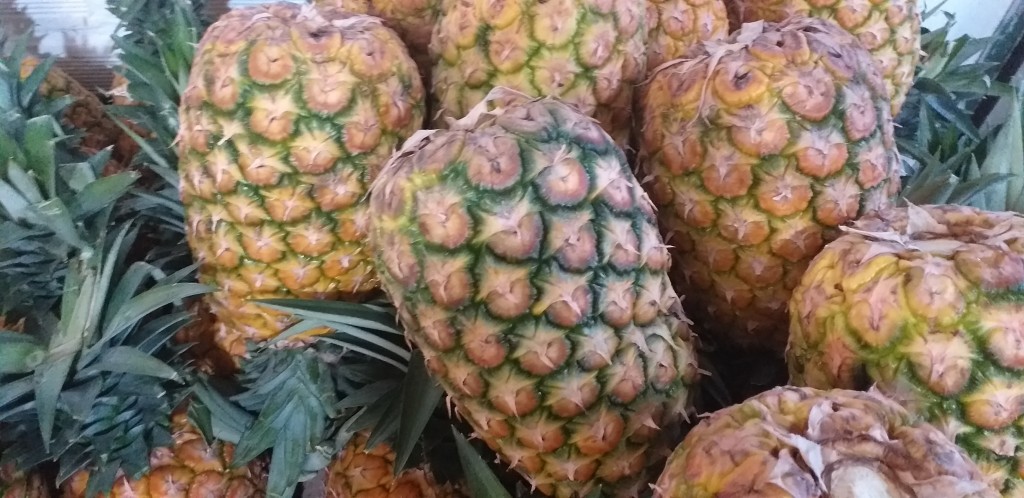 Piña oromiel