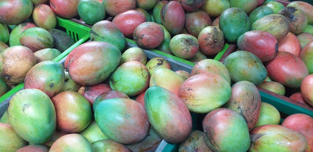 Mango farchi