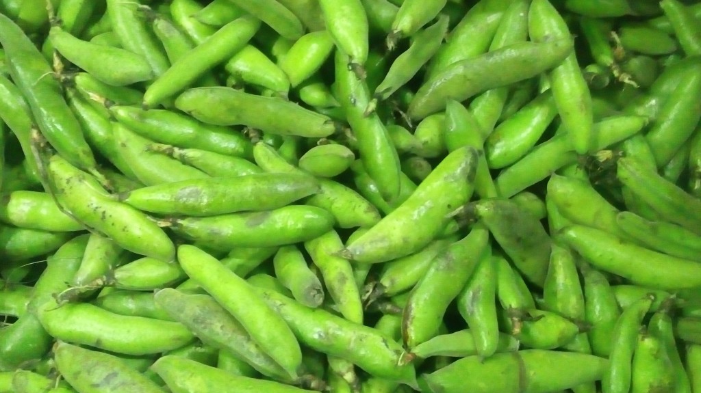 Habas en cascara