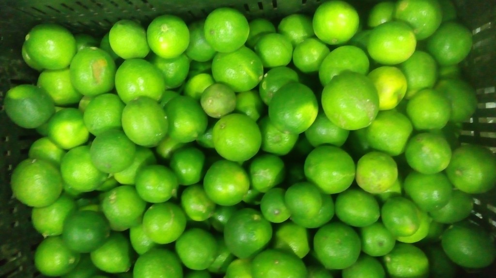 Limon tahiti
