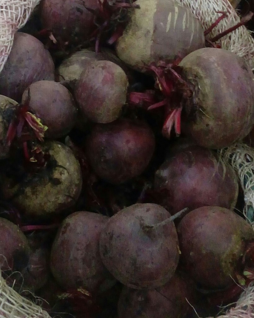 Remolacha