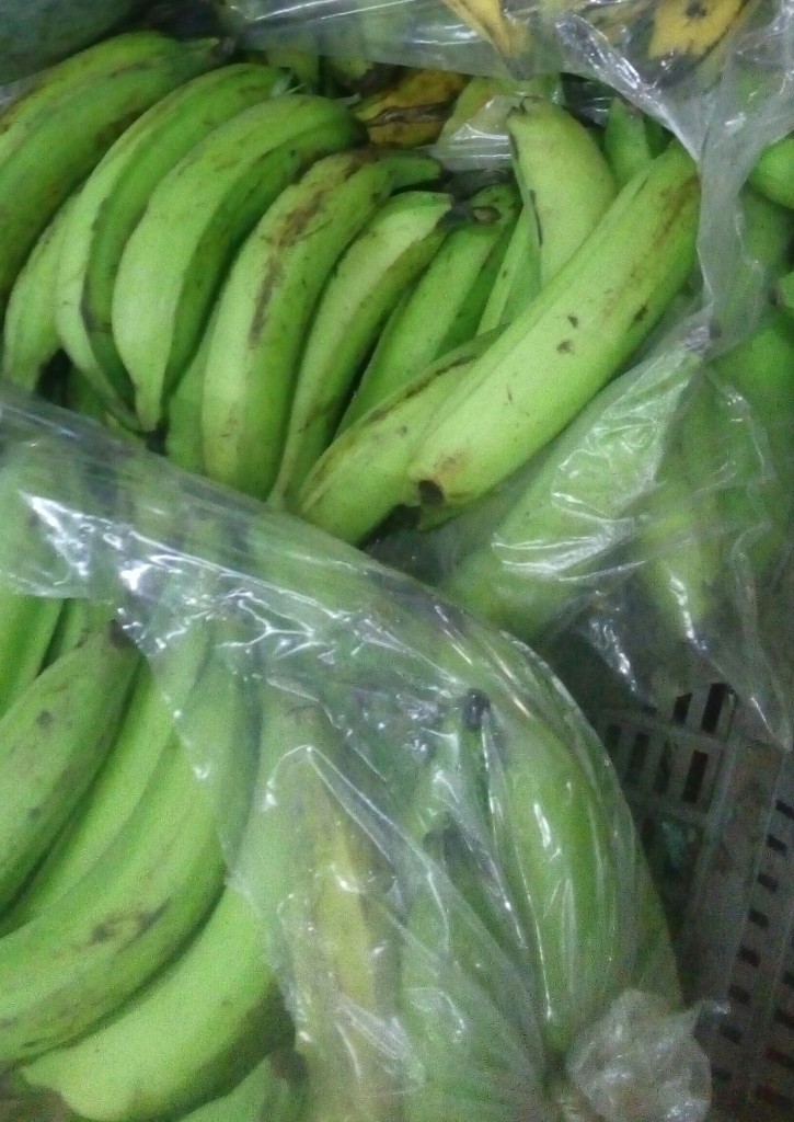 Platano