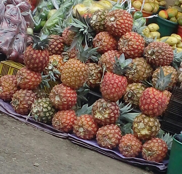 Piña golden
