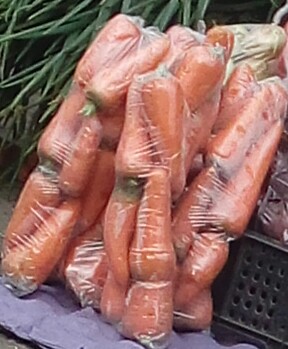 Cebolla larga