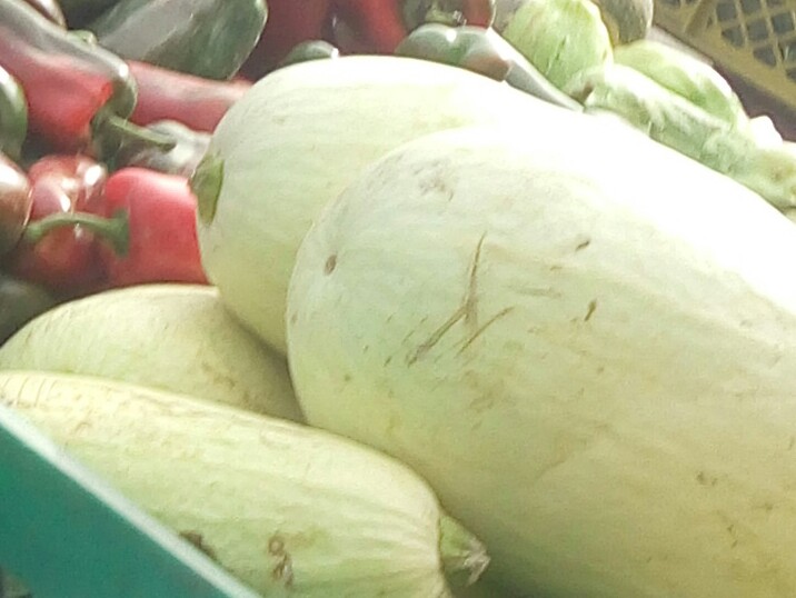 Calabaza Blanca