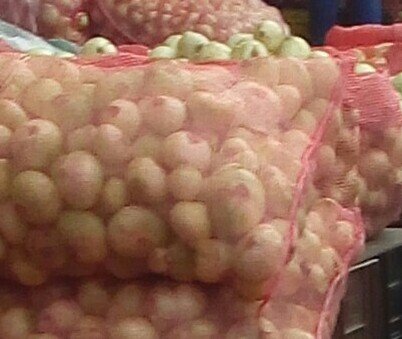Cebolla cabezona