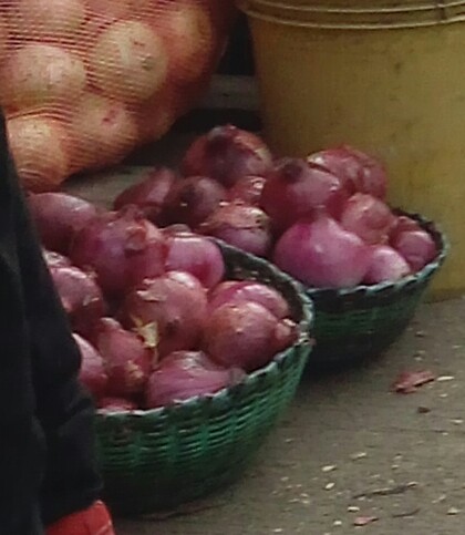 Cebolla cabezona morada