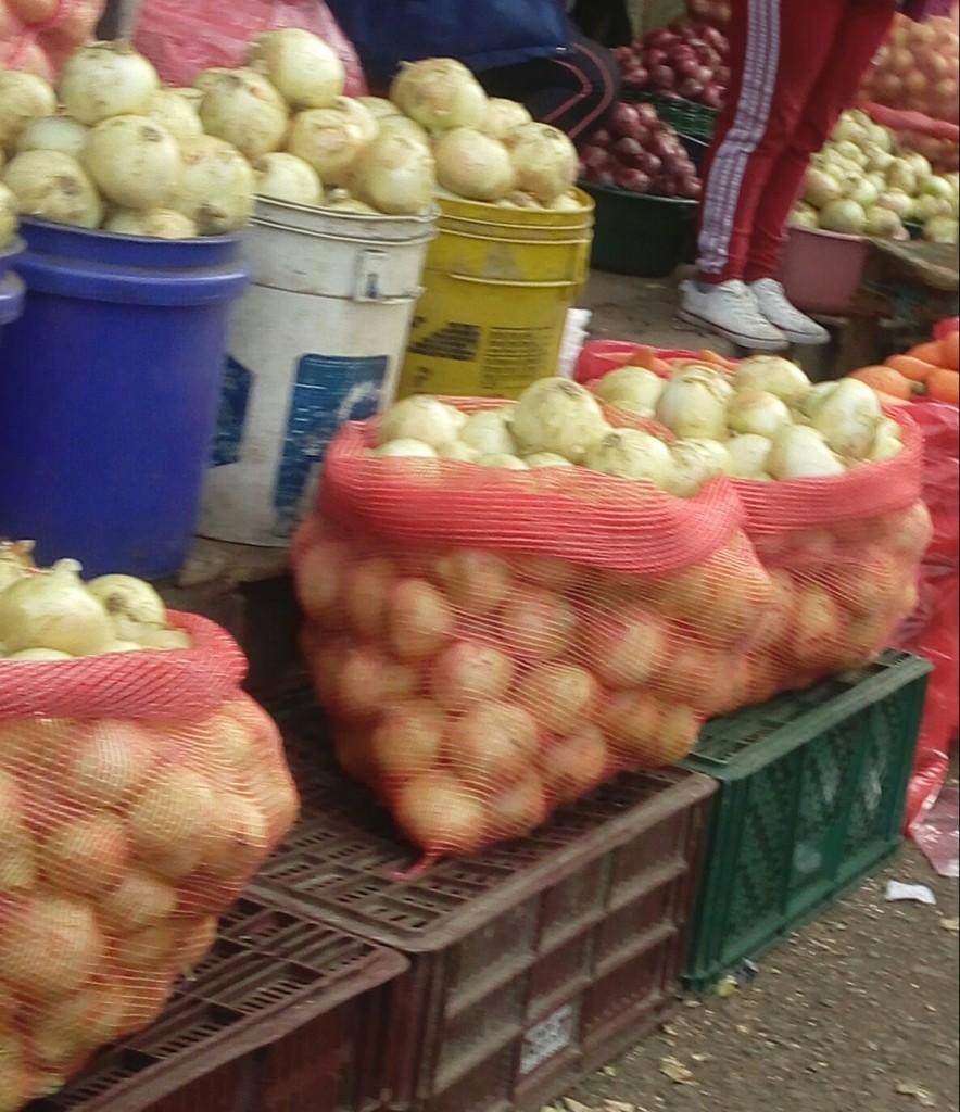 Cebolla cabezona