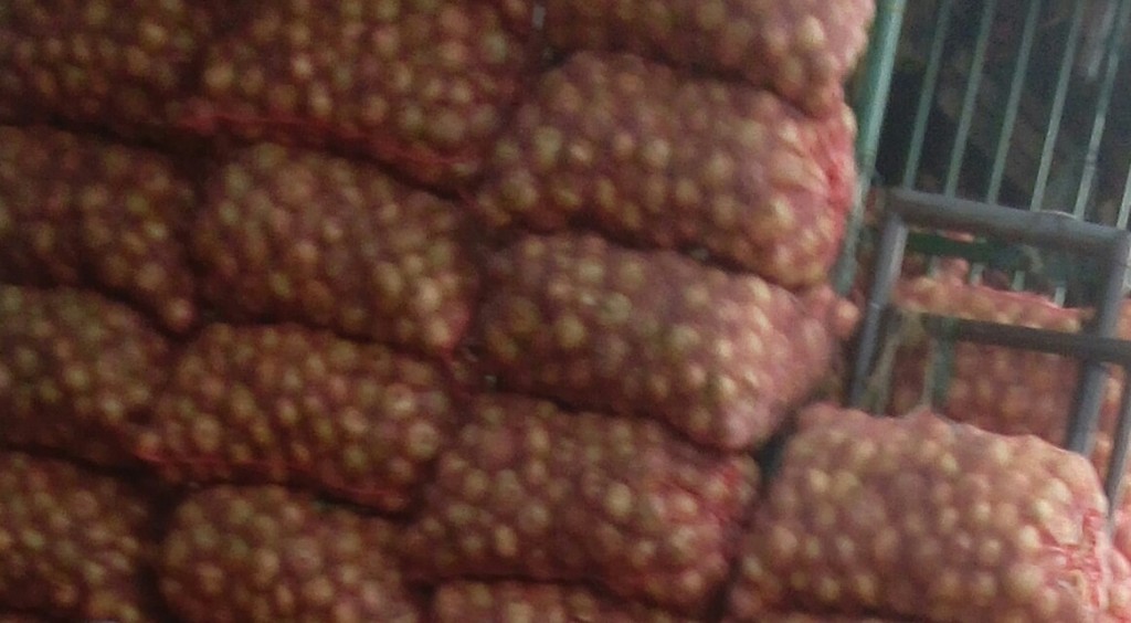 Cebolla cabezona