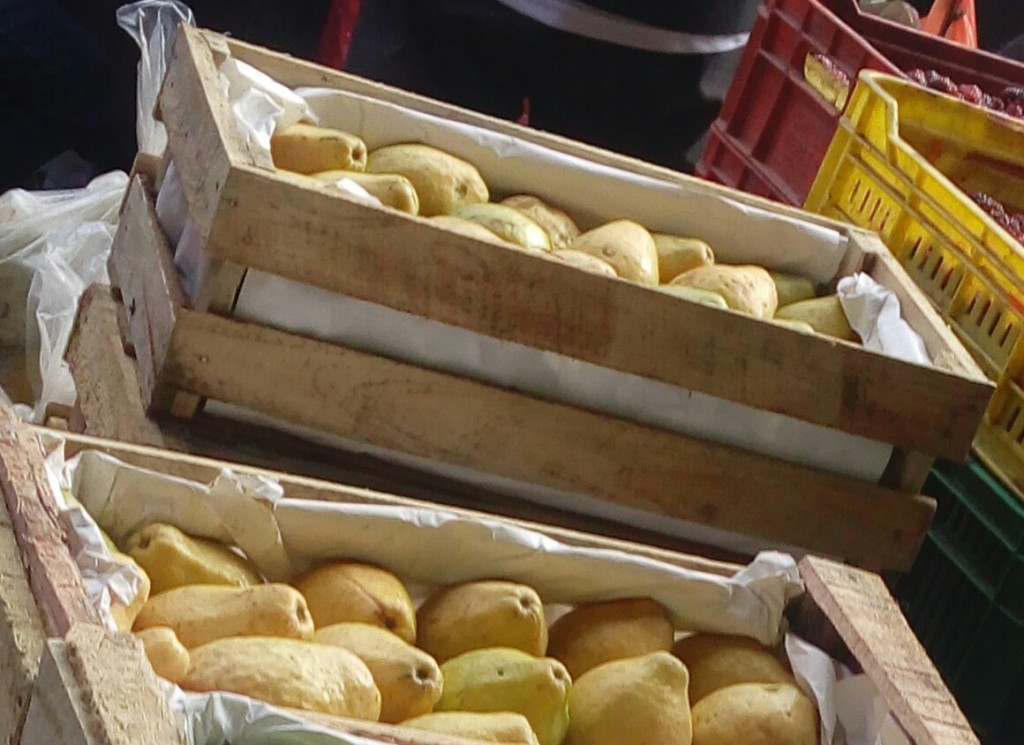 Guayaba
