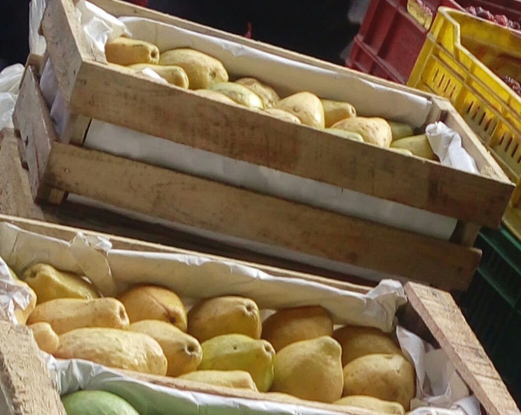 Guayaba