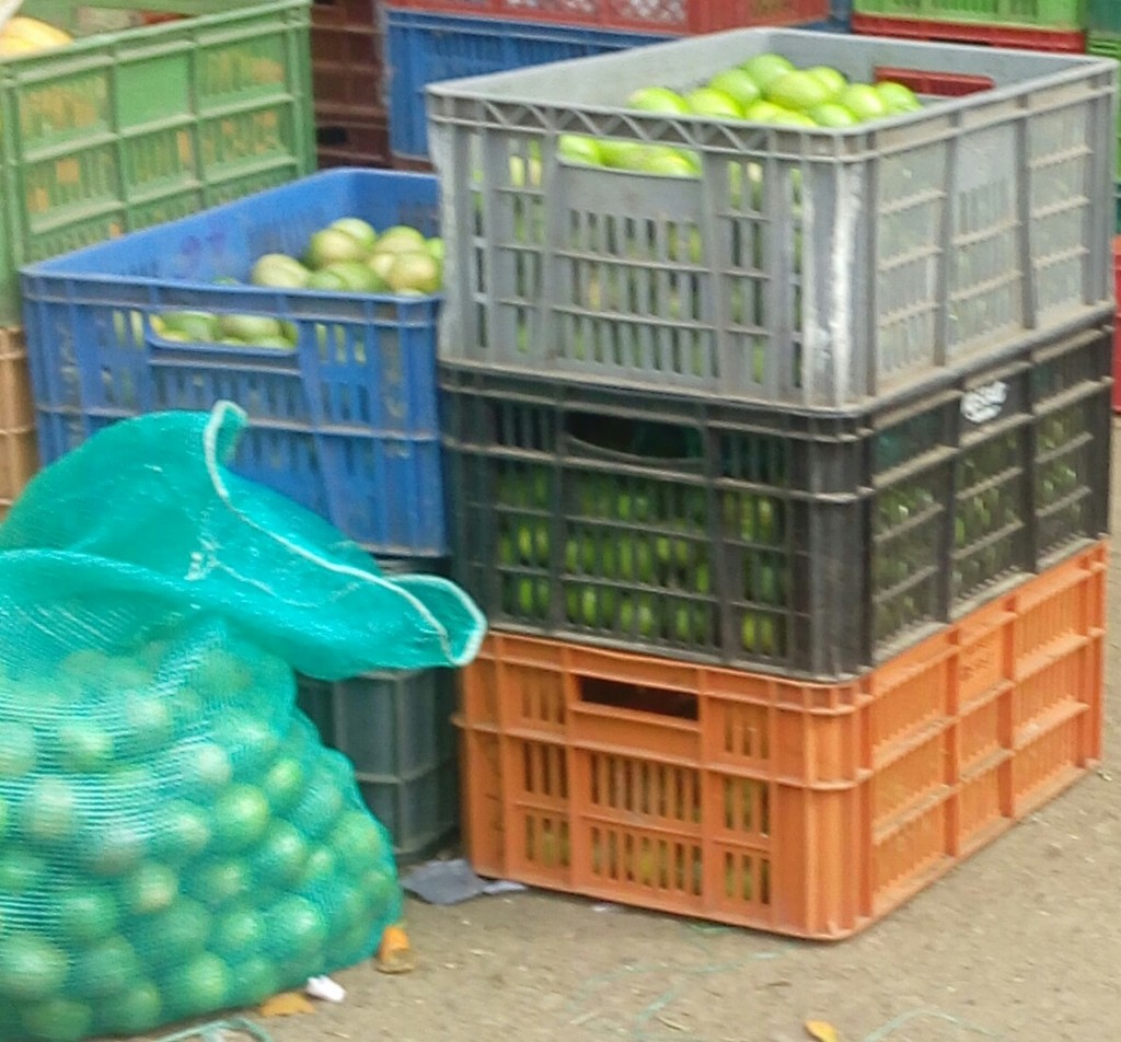 Limon tahiti