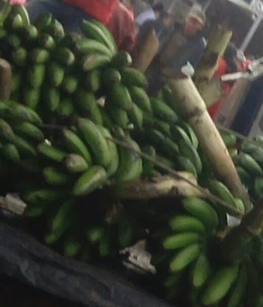 Colicero