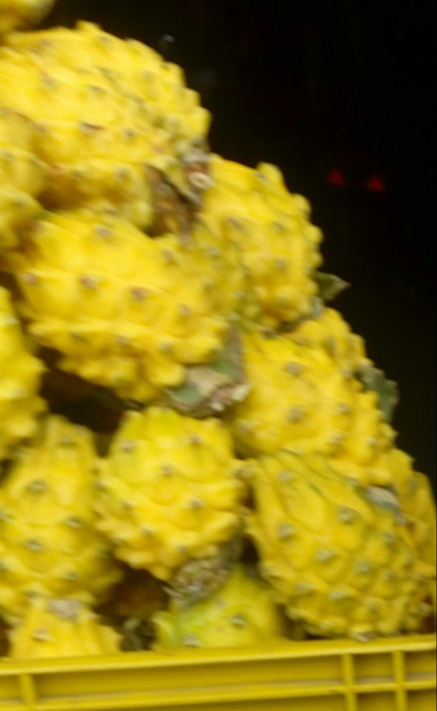 Pitaya
