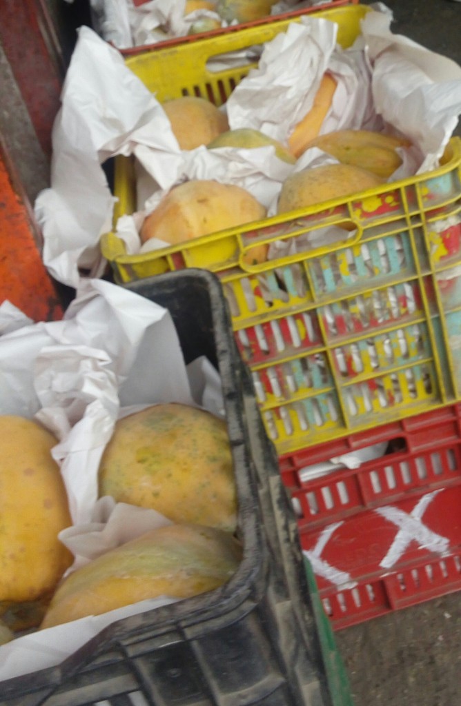 Papaya