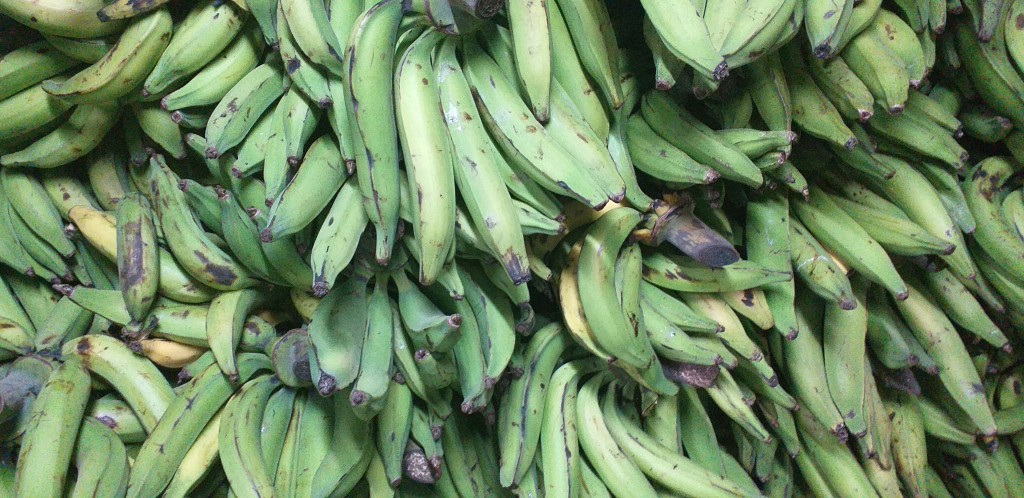 Platano verde