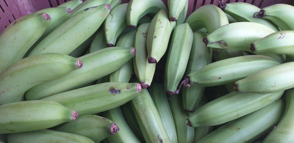 Banano verde