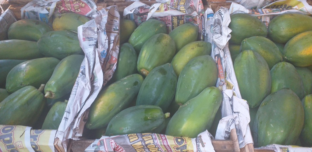 Papaya costeña/26kg