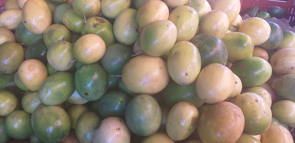 Maracuya selecta