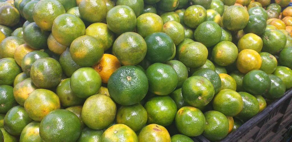 Naranja valencia 2da