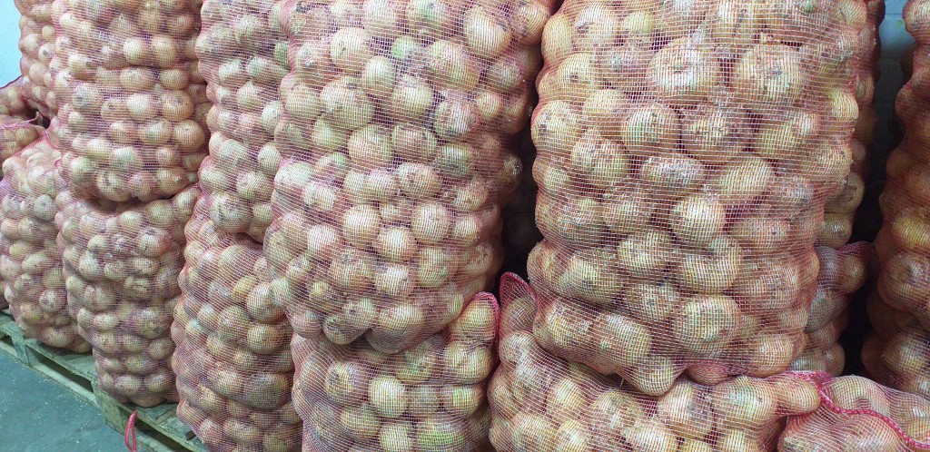 Cebolla blanca/50kg