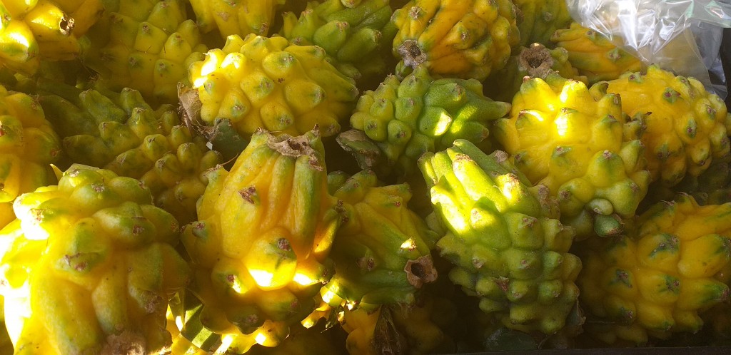 Pitahaya
