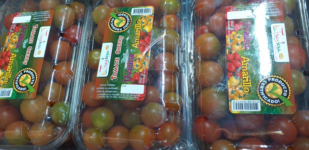 Tomate cherry en bandeja