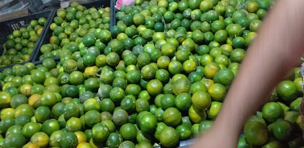 Limon tahiti