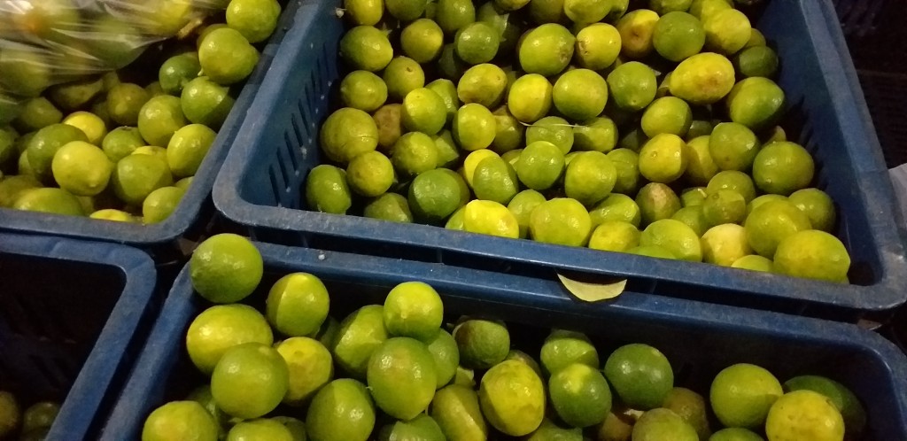 Limon criollo
