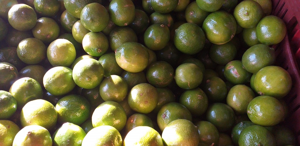 Limon tahiti