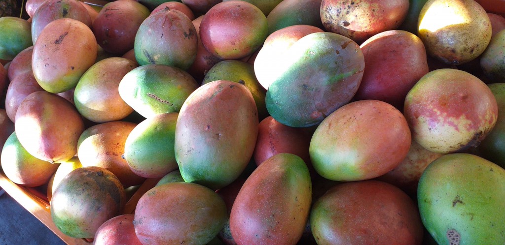 Mango farchi