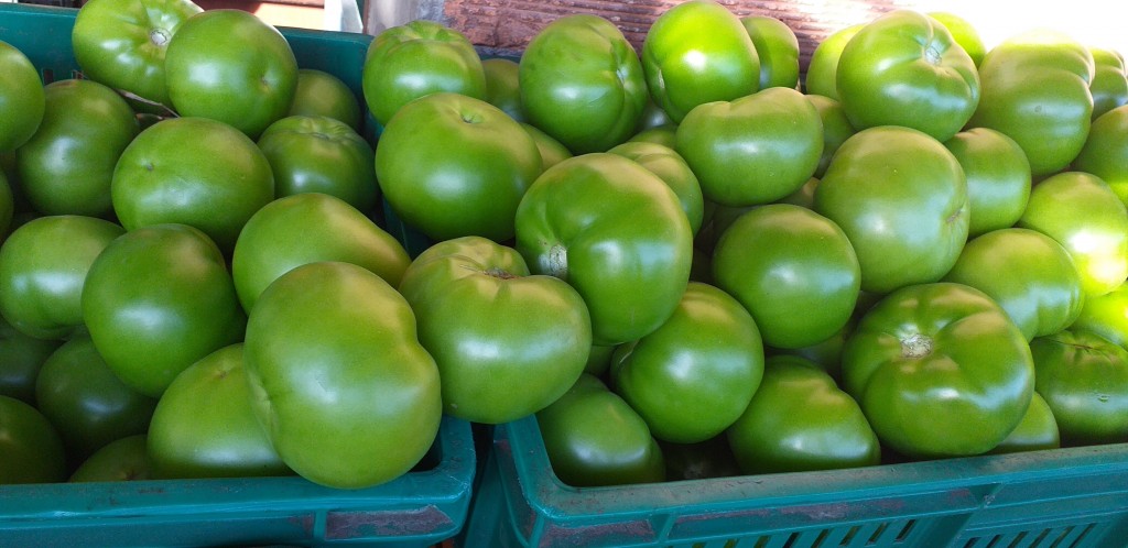 Tomate riñon