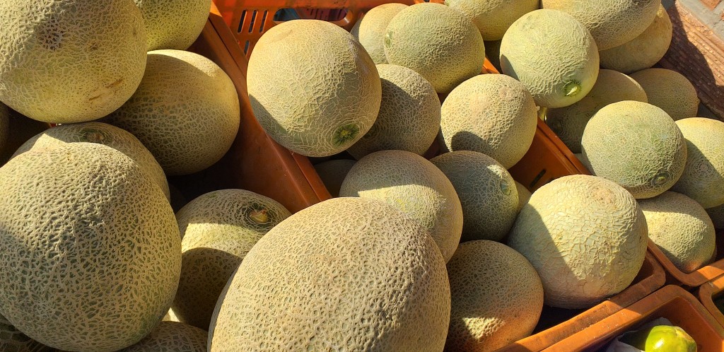 Melon