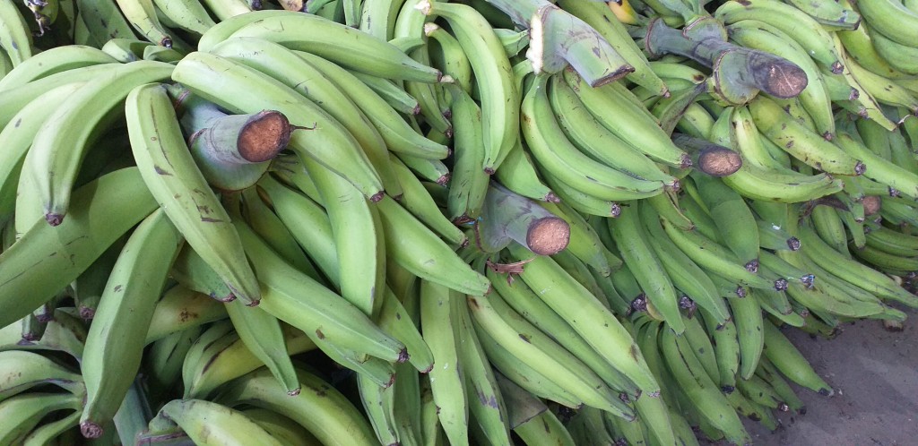 Platano verde