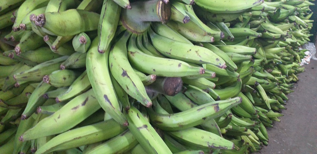 Platano verde