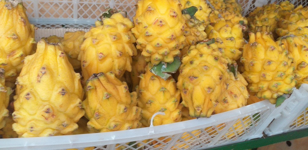 Pitahaya