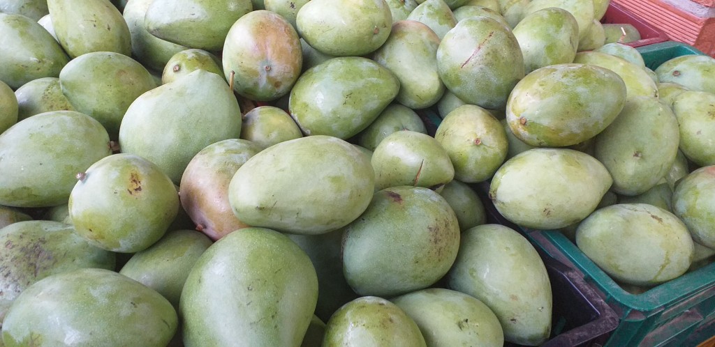 Mango filipino
