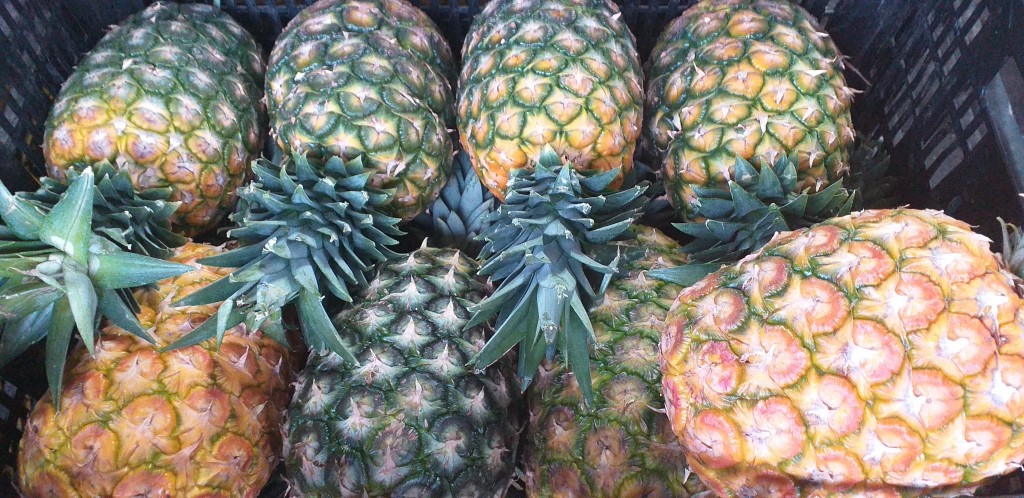 Piña oromiel