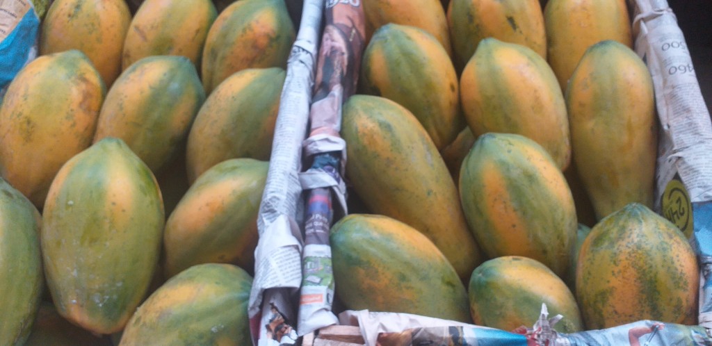 Papaya tainung/26kg