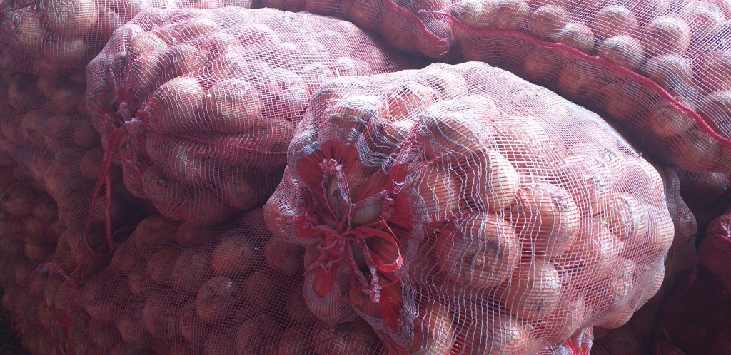 Cebolla blanca gruesa/50kg
