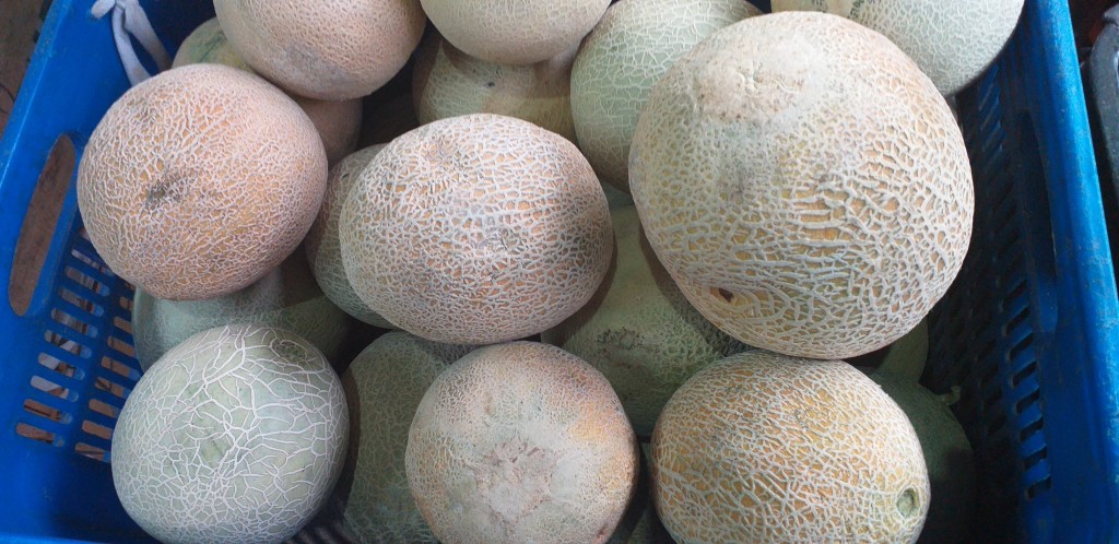 Melon