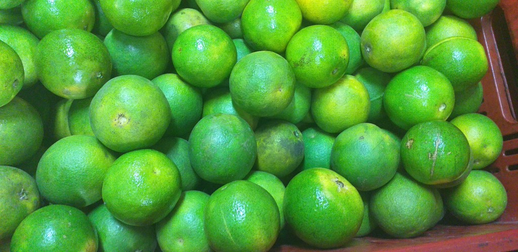 Naranja salustiana 2da