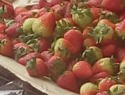 Fresas